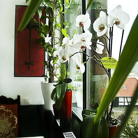 & Restaurant Veste Wachsenburg Hotel