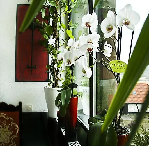 & Restaurant Veste Wachsenburg Hotel